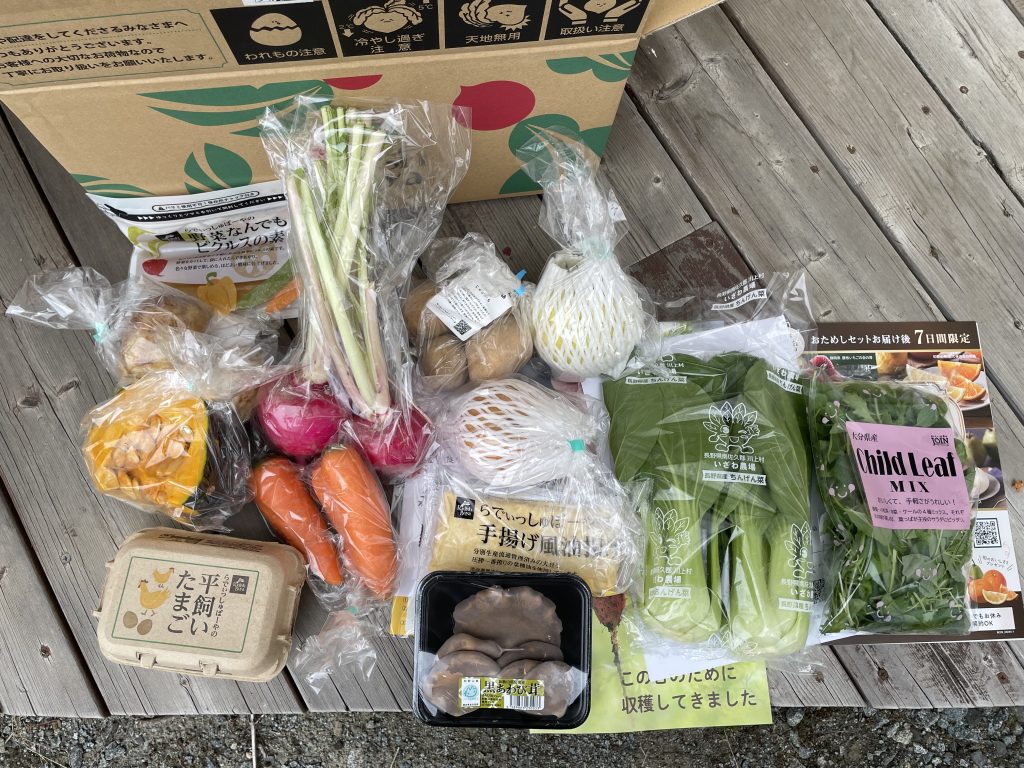 実際に届いた食材